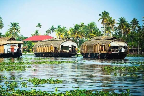 Marari Beach Cleetus Homestay Марарикулам Екстериор снимка