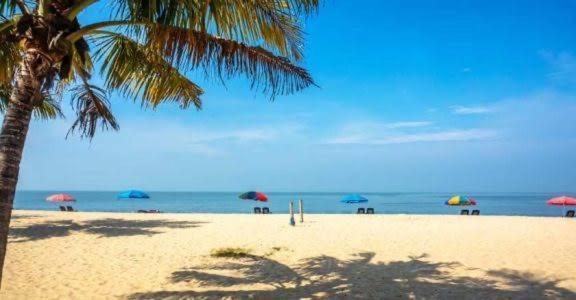 Marari Beach Cleetus Homestay Марарикулам Екстериор снимка